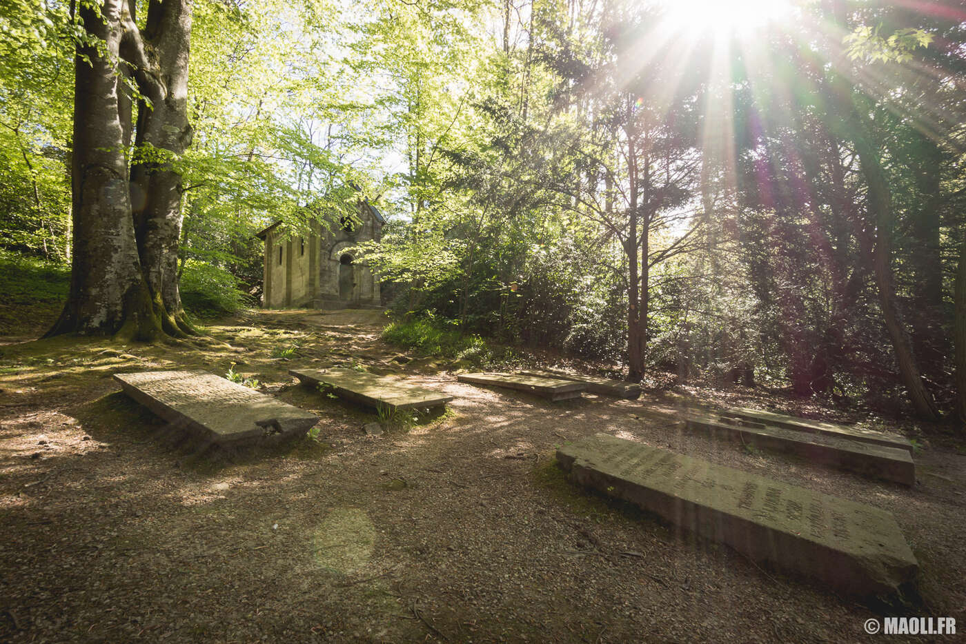 Bagnole-de-l'Orne cimetière forestier