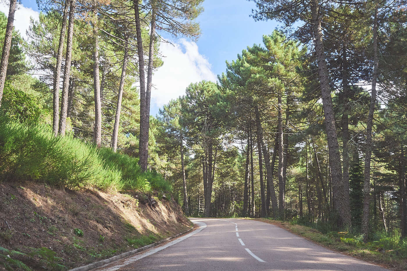 Routes de l'Alta-Rocca